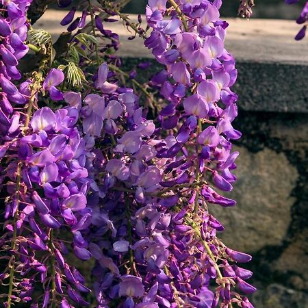 Il Glicine B&B Ristorante Cazzago San Martino 外观 照片