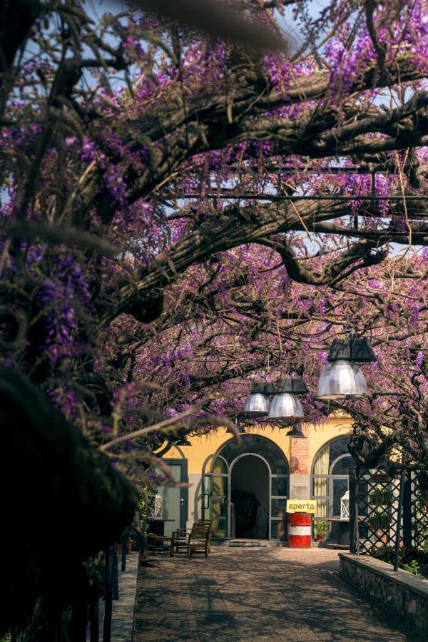 Il Glicine B&B Ristorante Cazzago San Martino 外观 照片