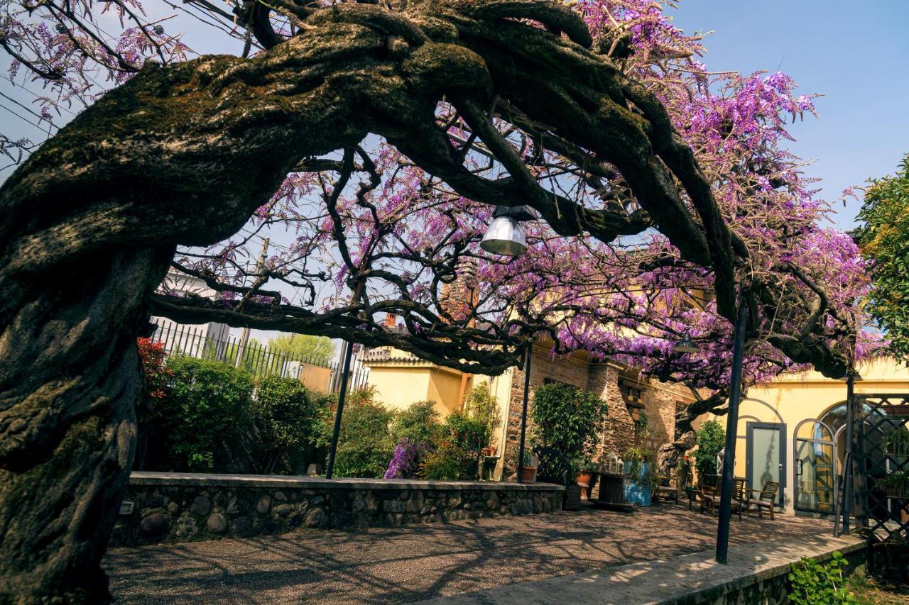 Il Glicine B&B Ristorante Cazzago San Martino 外观 照片