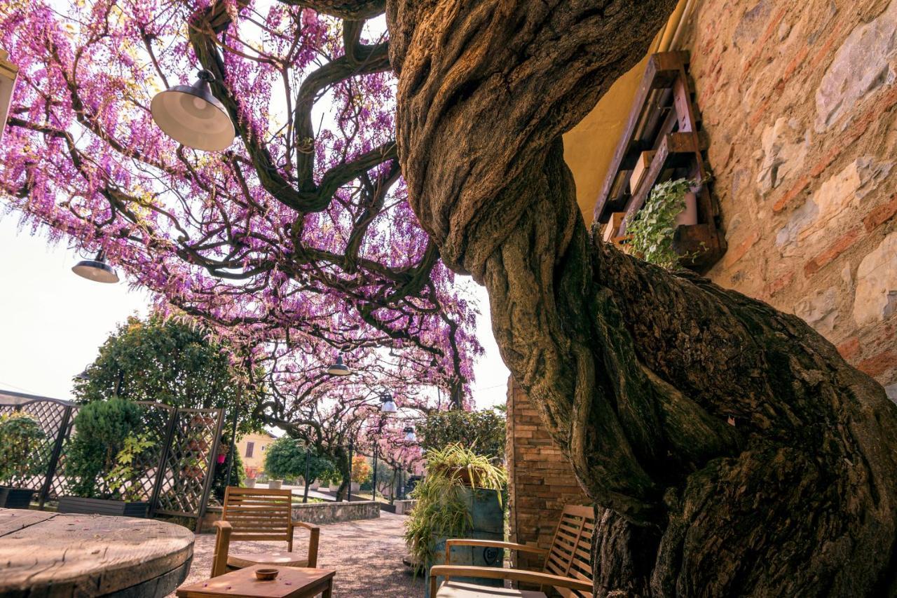 Il Glicine B&B Ristorante Cazzago San Martino 外观 照片